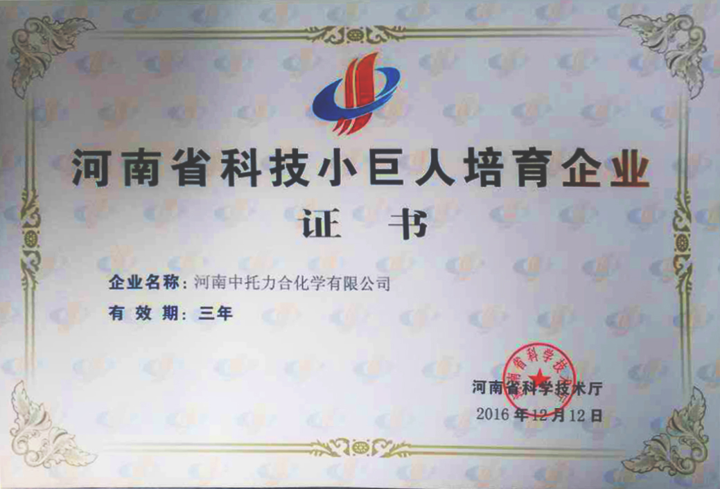 河南省科技小巨人培育企业证书