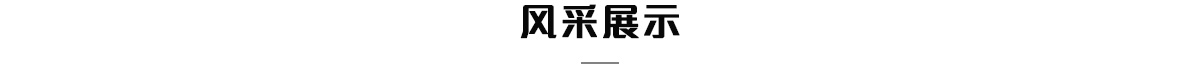 中托力合风采展示