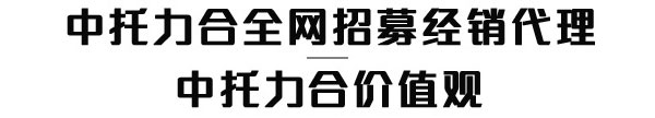 中托力合经销代理